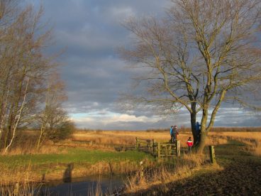 Umgebung Lauwersmeer Friesland