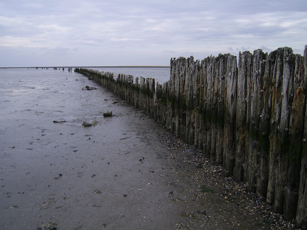 Unesco World Heritage Wadden Sea