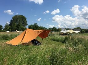 tenten in het veld camping Friesland Nederland