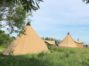 Tipi tents in the fields camping Lauwersmeer Friesland Netherlands