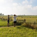 Vogels kijken op natuurkampeerterrein it Dreamlân