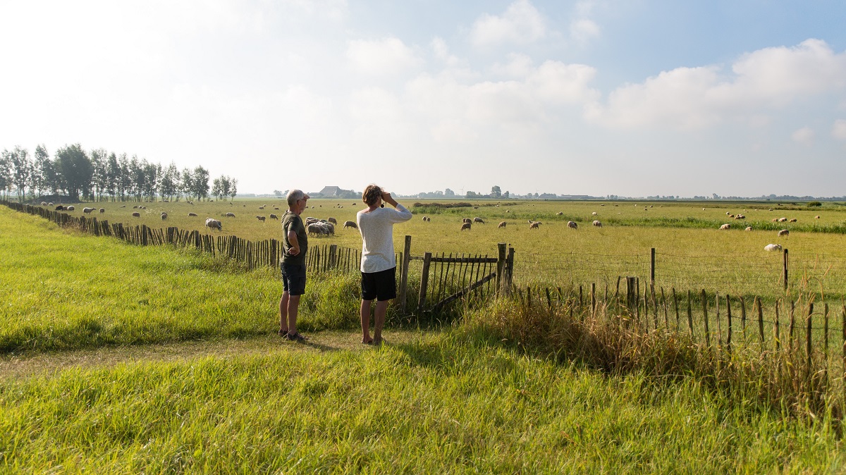Vogels kijken op natuurkampeerterrein it Dreamlân