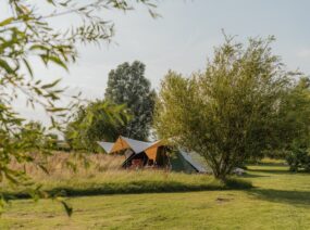 Kamperen in het veld